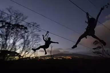  zipling